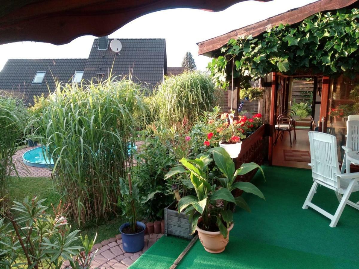 Ferienwohnung Blick Ins Land Goslar Esterno foto